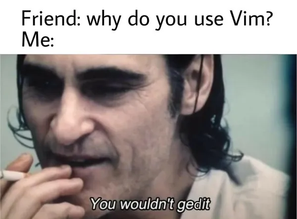 Meme Why do you use vim?